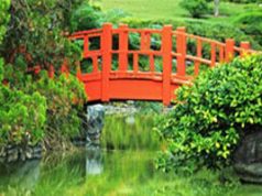 Exposición fotográfica en el Jardín Botánico sc-botanico