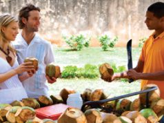 En honor al coquero de la esquina sc-coquero