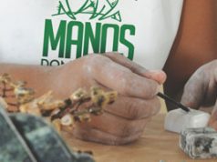 Artesanía con materiales naturales sc-artesania