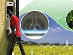 Biocombustibles, la alternativa ideal sc-mazorca