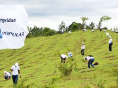 Empleados del Grupo Popular siembran 8.000 plantas sc-popularreforestacion