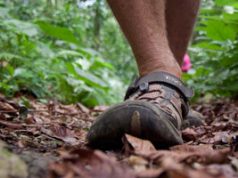 Feria de turismo sostenible en el Jardín Botánico sc-turismosostenible