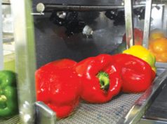 Vegetales más sanos sc-vegetalesfrescos