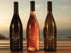 Un viñedo resort en pleno Caribe