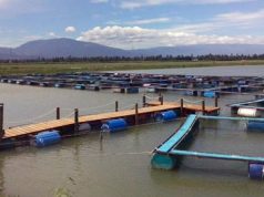 Barahona y Pedernales, Dominican Treasures