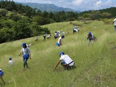 AFP Popular y Banco Popular reforestan en San José de las Matas