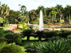 “Día Amigable de la Familia con el Medio Ambiente”, en el Jardín Botánico con entrada gratis