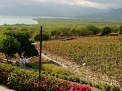 Destacan el innovador modelo de enoturismo del proyecto OcoaBay