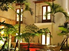 Descubren durante excavación en la Ciudad Colonial una curtidora de pieles de 200 años de antigüedad.