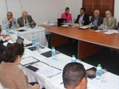 Ministerio de Cultura analiza temas sobre revitalización y turismo cultural en la Ciudad Colonial