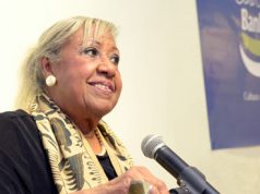 Artista plástica dominicana Ada Balcácer aboga por apoyo estatal a la artesanía criolla