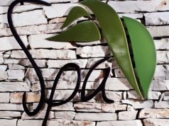 Casa de Campo reinaugura spa con nueva filosofía de servicio