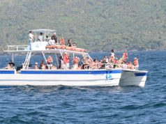 Más de 45 mil turistas observaron ballenas jorobadas en la temporada 2015 en Samaná