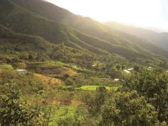 Los Martínez, ejemplo de autosostenibilidad humana