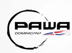 Aerolínea Pawa Dominicana nombra nuevo presidente ejecutivo