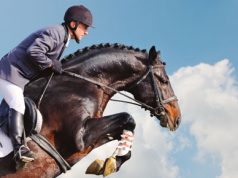 República Dominicana: País Ecuestre