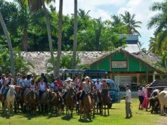 Los principales motivos de viaje a Rep. Dominicana son Recreación y visitas a amigos / parientes