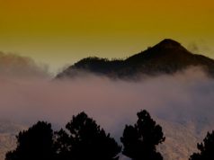 Comienza feria agrícola EXPO CONSTANZA 2015