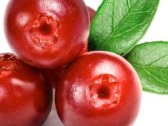 Los cranberries podrían ayudar a reducir el riesgo de diabetes