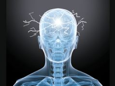 Las células gliales y su papel crucial en la epilepsia