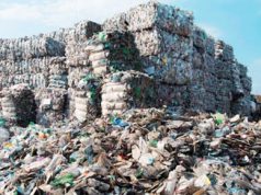 RD exporta material reciclable por valor de 57 mil millones