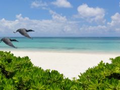 Analizan impacto del cambio climático en industria turística del Caribe