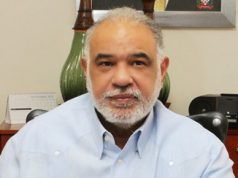 Director CNE pide incentivar empresas para producir energía