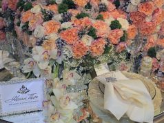 Ileana Then destaca en el Blue Mall Wedding Gallery