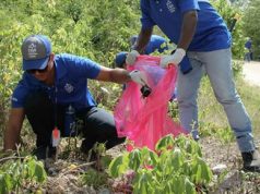 Reforestan tres kilómetros del Sendero EcoturísticoPadre Nuestro en Bayahibe