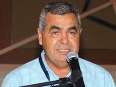 Aseguran en México porcicultura está deprimida, sin óptima productividad y con problemas financieros