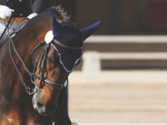 Los Establos posicionará a República Dominicana como destino ecuestre mundial