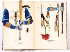 El Centro Cultural de España invita a la exposición de la artista Quisqueya Henrìquez “Maleza, múltiples cuerpos de trabajo”