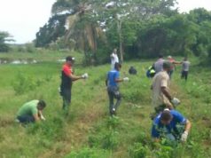 Hotel Meliá Caribe Tropical realiza importante reforestación