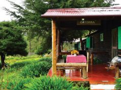 Constanza: Una placentera experiencia gastronómica