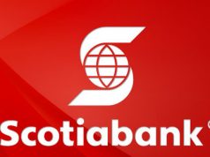 Scotiabank y Magna Motors lanzan oferta de préstamos para vehículos desde 9.95%