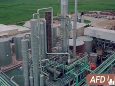 Ron Barceló primera empresa en su categoría con certificación ISO 9001-2015