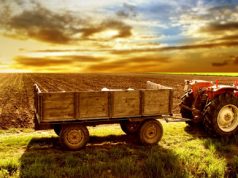 Alimentos Bio, claves para una mejor salud.