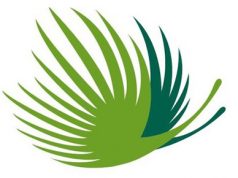 Puntacana ¿Turismo o paradigma de desarrollo?