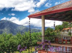 Altocerro; Para disfrutar mejor Constanza