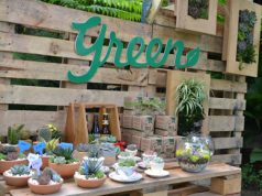 Celebran segunda edición de “El Picnic”