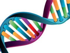 CRISPR ¿Demasiado cerca del Creador?