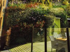 Jardines Verticales: Inspiración en la naturaleza