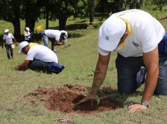 Empleados del Popular reforestan comunidad con más de 3 mil árboles