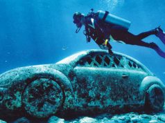 Curiosas colecciones