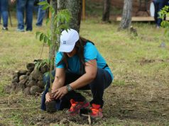 Empleados del Popular plantan más de 2,600 árboles