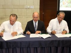 Buscan expandir el Santuario Marino Arrecifes del Sureste