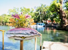 “Carnavarengue” único carnaval marino en el mundo, Orgullo de María Trinidad Sánchez