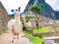 Lima y Cusco en cinco días mágicos