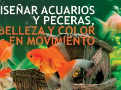 Diseñar acuarios y peceras: belleza y color en movimiento