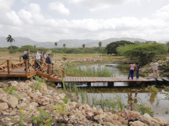 Fundación Popular auspicia creación de humedal en el botánico de Santiago